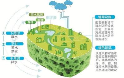 溫州全面推進(jìn)海綿城市建設(shè) 市區(qū)建成區(qū)25%以上面積今年達(dá)到“水彈性”要求，強(qiáng)化自然生態(tài)系統(tǒng)保護(hù)管理