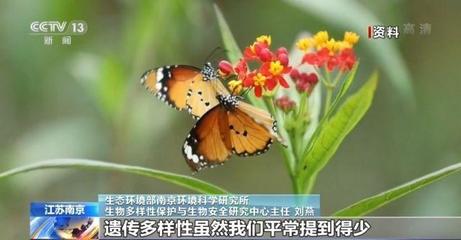 地球自然生態(tài)平衡的保障 保護(hù)生物多樣性究竟有多重要？